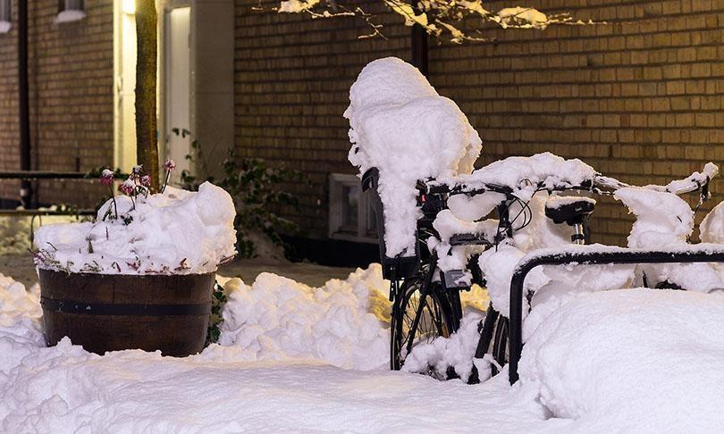 Slip And Fall Injuries